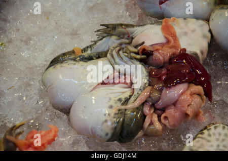 Fleisch und Innereien der Frosch auf dem Eis zu verkaufen für das Kochen am Markt in Thailand Stockfoto