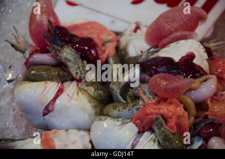 Fleisch und Innereien der Frosch auf dem Eis zu verkaufen für das Kochen am Markt in Thailand Stockfoto