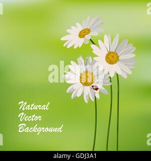 Natureal Sommer Hintergrund Stock Vektor