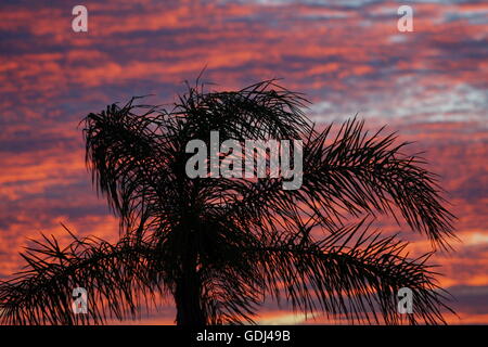 Eine dramatische orangefarbenen Himmel Sonnenuntergang über den Himmel über Murcia im Süden Spaniens am 1. Oktober 2013. Foto von Tony Henshaw Stockfoto