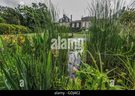 Park des Château Gruaud-Larose, Saint-Julien, Gironde, Frankreich Stockfoto