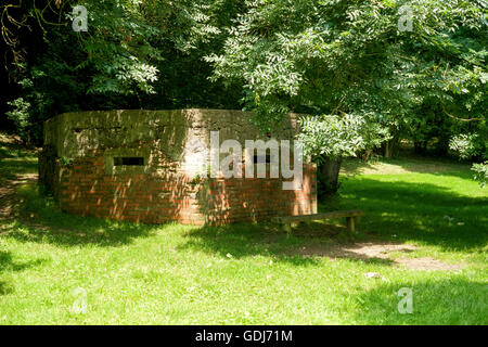 WW2 Bunker neben River Mole direkt vor Ort Brockham, Surrey, UK Stockfoto