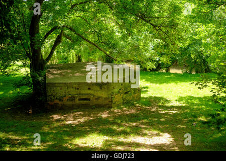 WW2 Bunker neben River Mole direkt vor Ort Brockham, Surrey, UK Stockfoto