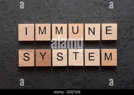 Das Wort Immunsystem gebildet mit Holzbuchstaben auf dunklem Hintergrund Stockfoto