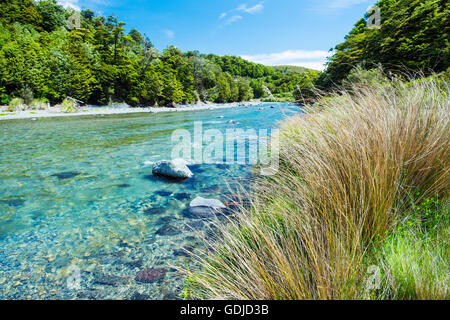 Der Tongariro River, North Island, Neuseeland Stockfoto