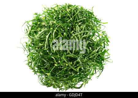 Kohl-Julienne für einen portugiesischen Stil Suppe namens Caldo Verde Stockfoto