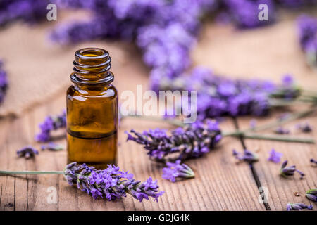 Kräuteröl und Lavendel Blumen auf hölzernen Hintergrund Stockfoto