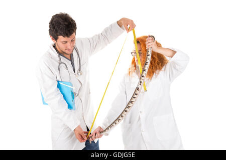 Tierarzt Team messen eine Schlange, die isoliert in weiß Stockfoto