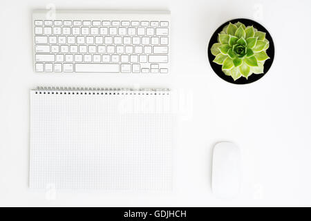 Weißer Schreibtisch Bürotisch mit drahtlosen Aluminium Tastatur, Papier, Maus und saftige Blume im Topf. Draufsicht mit Textfreiraum. FLA Stockfoto