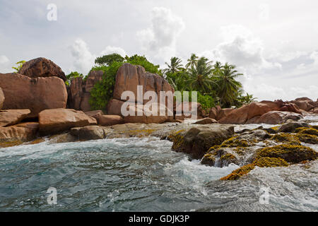 St. Pierre Tropeninsel in Seychellen Stockfoto