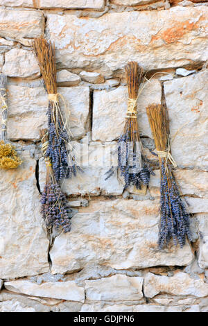 Lavendel Blumen auf der Steinmauer trocknen Stockfoto