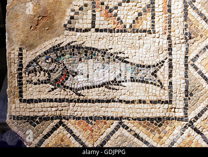 Byzantinische Fische Mosaik in Porec Euphrasius Basilika, Kroatien Stockfoto