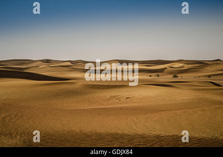 Wüste Dünen, Margham. Dubai, Vereinigte Arabische Emirate Stockfoto