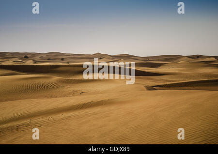 Wüste Dünen, Margham. Dubai, Vereinigte Arabische Emirate Stockfoto