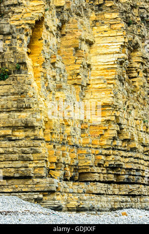 Lias Kalksteinklippen und Steinschlag Beweise am Colhugh Strand, Llantwit Major, auf Glamorgan Heritage Coast, South Wales, Australia Stockfoto