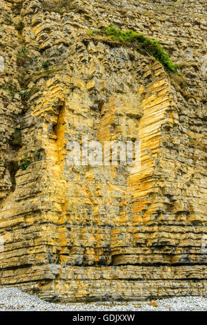 Lias Kalksteinklippen und Steinschlag Beweise am Colhugh Strand, Llantwit Major, auf Glamorgan Heritage Coast, South Wales, Australia Stockfoto