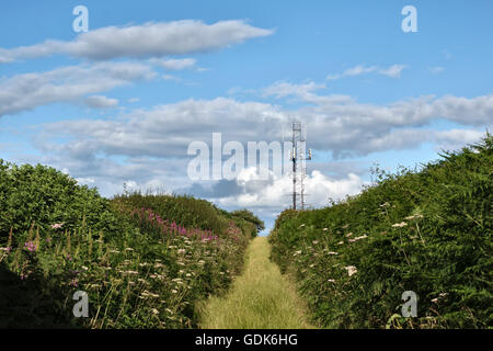 Herefordshire, England. Ein Handy-Mast auf dem Lande Stockfoto