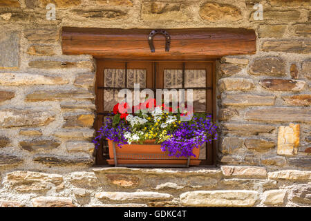 Holzfenster und Blumen auf der Fensterbank Stockfoto