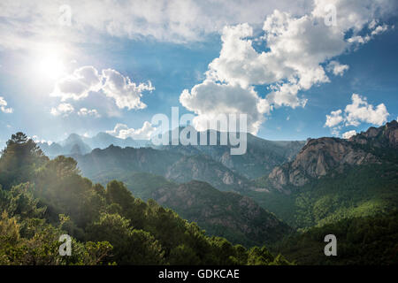 Felsige Landschaft, Pinien, bewölkter Himmel, Col de Bavella, Bavella-massiv, Korsika, Frankreich Stockfoto