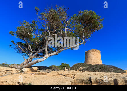 Turm von Cala Pi, Torre de Cala Pi, Mallorca, Balearen, Spanien Stockfoto