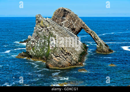 Bogen Geige Felsen im Meer, Portknockie, Moray Firth, Schottland, Vereinigtes Königreich Stockfoto