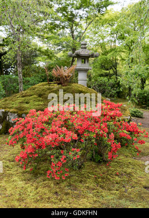 Zen-Garten Tenryuji (Tenryu Shiseizen-Ji) buddhistische Tempel, Kyoto, Japan Stockfoto