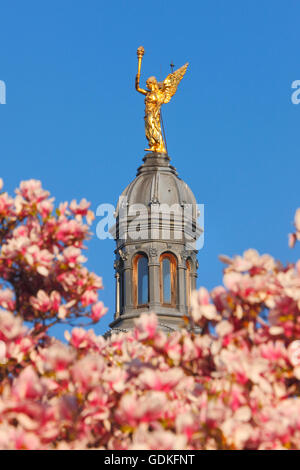 Engel der Erleuchtung, Statue auf dem Gebäude durch wunderschöne Magnolie Blüten im Frühjahr Stockfoto