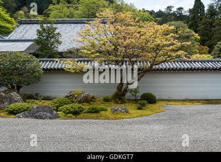 Zen-Garten des Hojo Nanzen-Ji buddhistischen Tempel in Kyoto, Japan Stockfoto