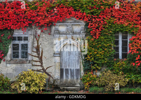 Château d'Armajan des Ormes, Sauternes, in herbstlichen Farben Stockfoto