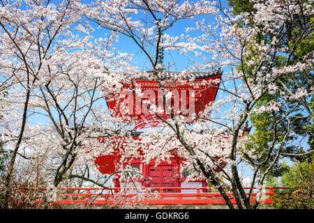 Kyoto, Japan am Daikaku-Ji-Tempel. Stockfoto