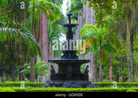 Jardim Botanico (Botanischer Garten) in Rio De Janeiro Stockfoto