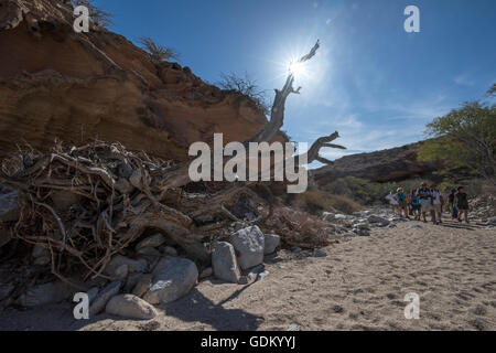 Menschen wandern in Santa Catalina, Baja California, Mexiko Stockfoto