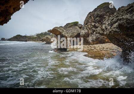 Die kleinen Antillen Barbados Pfarrkirche Sankt Michael Westindien Hauptstadt Bridgetown Barbados goldenen Sandstrand mit großen Stein ro Stockfoto