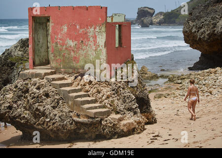 Die kleinen Antillen Barbados Pfarrkirche Sankt Michael Westindien Hauptstadt Bridgetown Barbados goldenen Sandstrand mit großen Stein ro Stockfoto