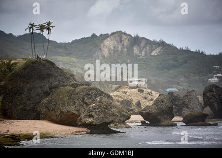 Die kleinen Antillen Barbados Pfarrkirche Sankt Michael Westindien Hauptstadt Bridgetown Barbados goldenen Sandstrand mit großen Stein ro Stockfoto