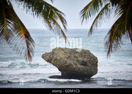 Die kleinen Antillen Barbados Pfarrkirche Sankt Michael Westindien Hauptstadt Bridgetown Barbados goldenen Sandstrand mit großen Stein ro Stockfoto