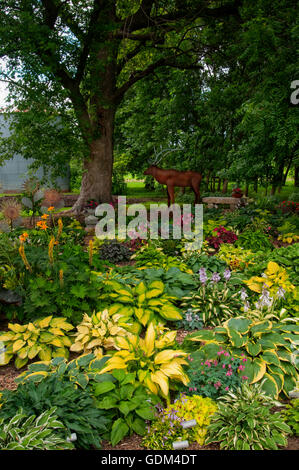 Hosta Garten mit Elch-Skulptur Stockfoto