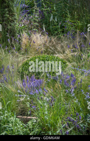 Tatton, UK. 18. Juli 2016. Miced Pflanzen bei der RHS Tatton Park Flower Show 2016 Credit: Jonathan Ward/Alamy Live News Stockfoto