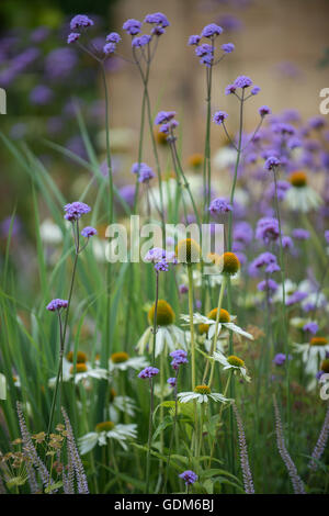 Tatton, UK. 18. Juli 2016. Miced Pflanzen bei der RHS Tatton Park Flower Show 2016 Credit: Jonathan Ward/Alamy Live News Stockfoto