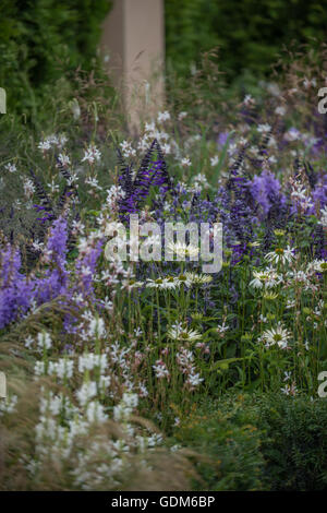 Tatton, UK. 18. Juli 2016. Miced Pflanzen bei der RHS Tatton Park Flower Show 2016 Credit: Jonathan Ward/Alamy Live News Stockfoto