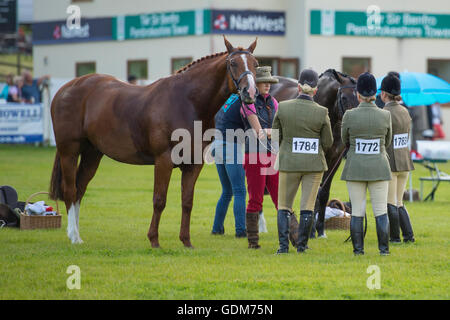 Builth Wells, UK. 18. Juli 2016. Royal Welsh Show 2016. Bildnachweis: James Thomas/Alamy Live-Nachrichten Stockfoto