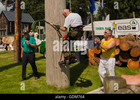 Builth Wells, UK. 18. Juli 2016. Royal Welsh Show 2016. Bildnachweis: James Thomas/Alamy Live-Nachrichten Stockfoto