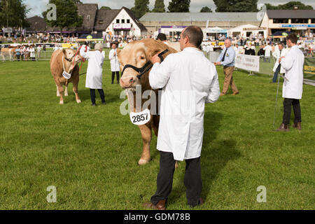 Builth Wells, UK. 18. Juli 2016. Royal Welsh Show 2016. Bildnachweis: James Thomas/Alamy Live-Nachrichten Stockfoto