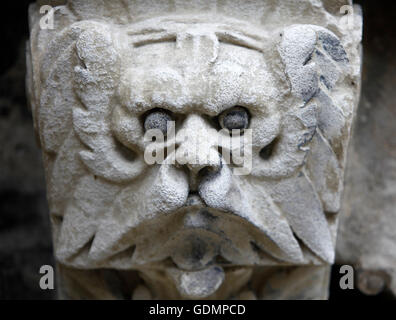 Geformten Stein Maske Figur auf dem Stephansdom in Wien Stockfoto