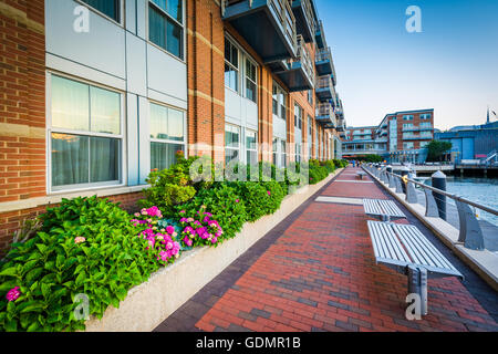 Bänke entlang der Boston Harborwalk am Battery Wharf in North End, Boston, Massachusetts. Stockfoto