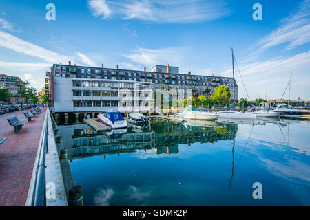 Lewis Wharf, entlang der Harborwalk am Nordende von Boston, Massachusetts. Stockfoto