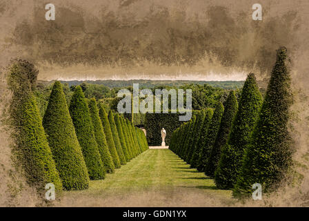 konische Hecken Linien und Rasen, Schloss Versailles, Frankreich Stockfoto