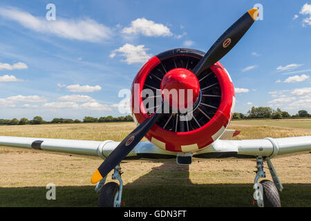 Motor des Harvard-Flugzeuge Stockfoto