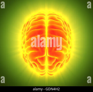 3D Darstellung der hellen orange Gehirn, Anatomie und medizinisches Konzept. Stockfoto