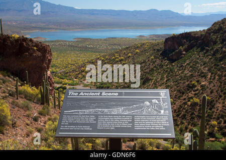 Wüste mit interpretativen Board Roosevelt Lake, Tonto National Monument, Arizona Stockfoto